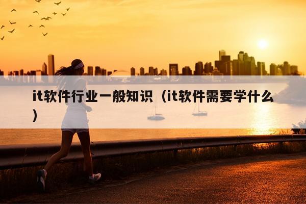 it软件行业一般知识（it软件需要学什么）