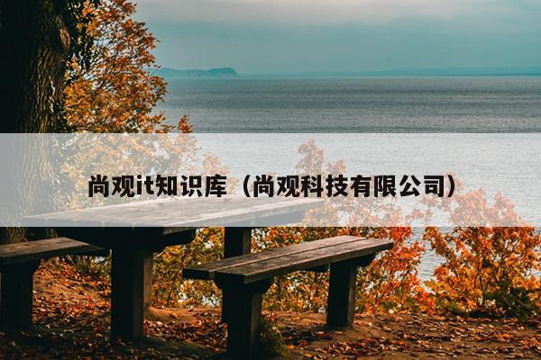 尚观it知识库（尚观科技有限公司）