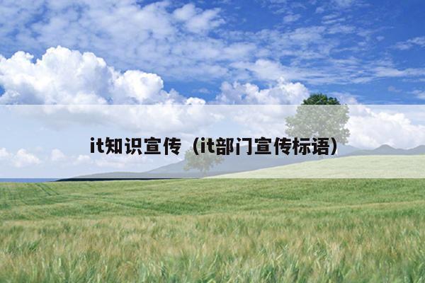 it知识宣传（it部门宣传标语）