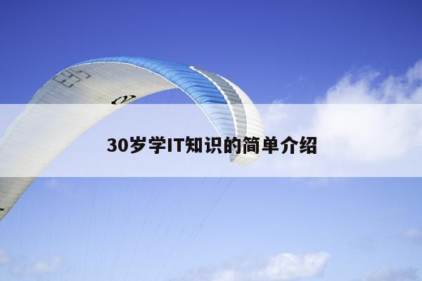 30岁学IT知识的简单介绍