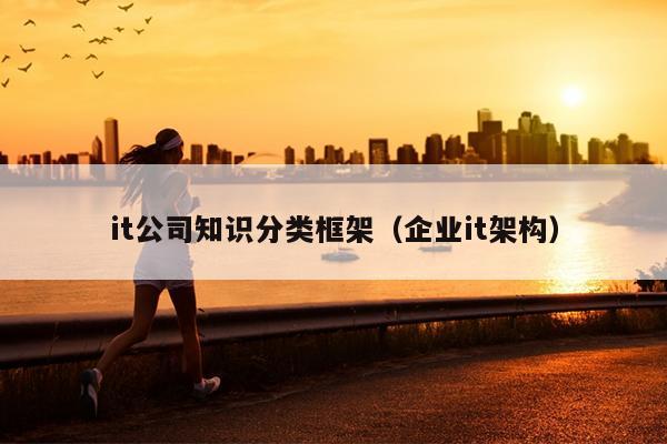 it公司知识分类框架（企业it架构）