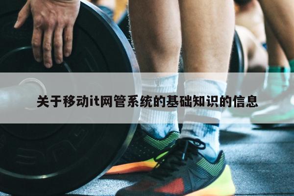 关于移动it网管系统的基础知识的信息