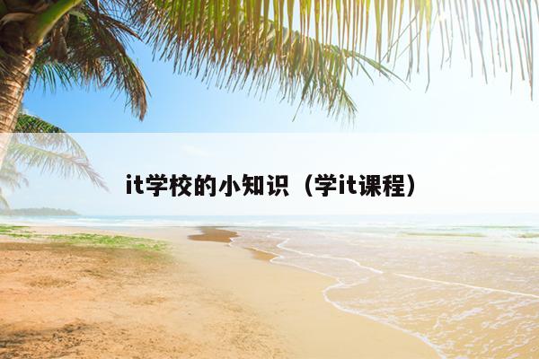 it学校的小知识（学it课程）