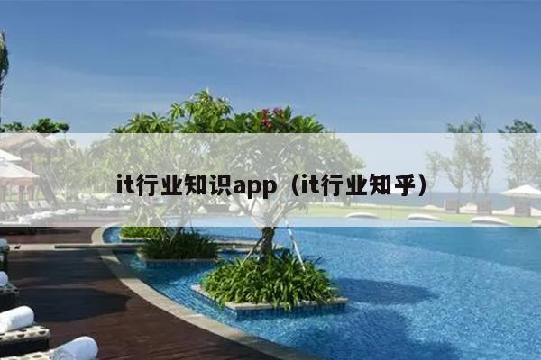 it行业知识app（it行业知乎）