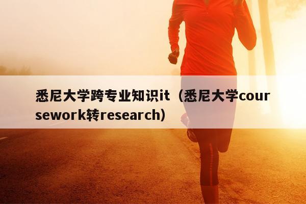 悉尼大学跨专业知识it（悉尼大学coursework转research）