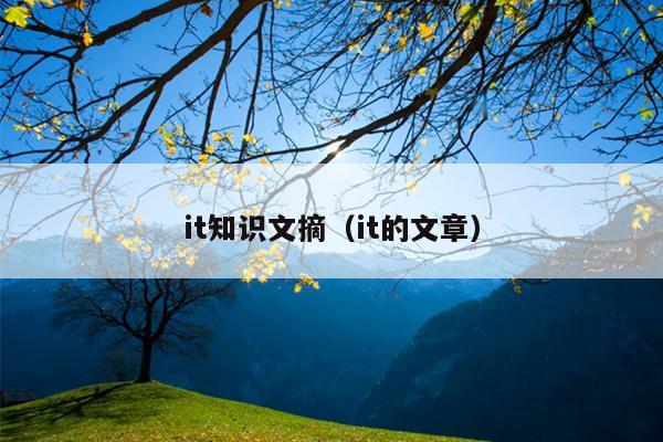 it知识文摘（it的文章）