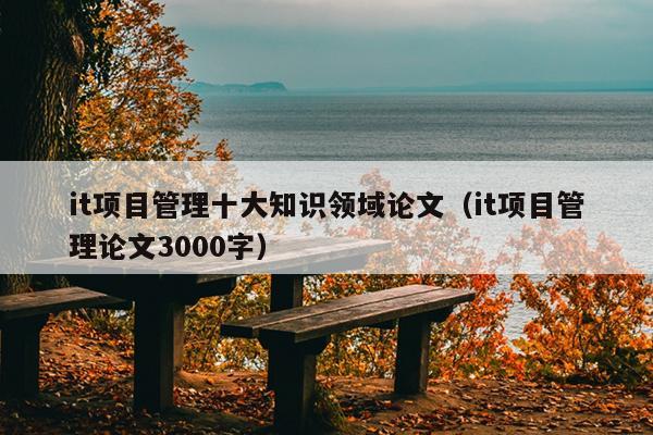 it项目管理十大知识领域论文（it项目管理论文3000字）