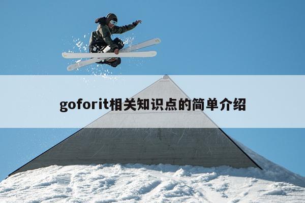 goforit相关知识点的简单介绍