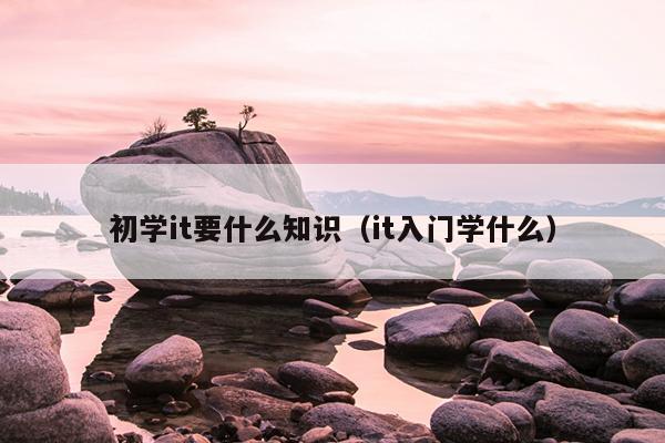 初学it要什么知识（it入门学什么）