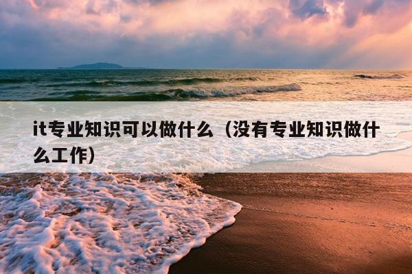 it专业知识可以做什么（没有专业知识做什么工作）