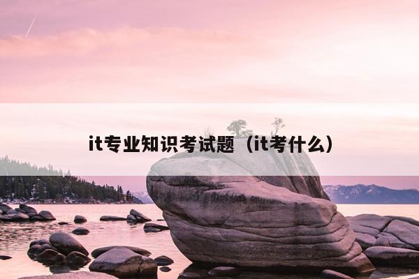 it专业知识考试题（it考什么）