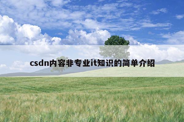 csdn内容非专业it知识的简单介绍