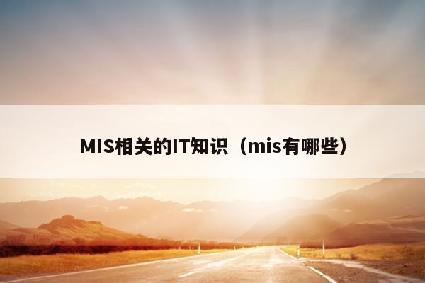 MIS相关的IT知识（mis有哪些）