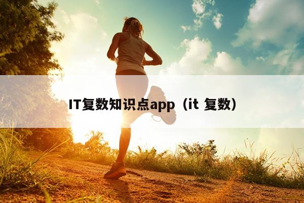 IT复数知识点app（it 复数）