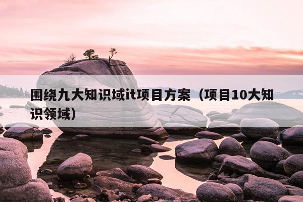 围绕九大知识域it项目方案（项目10大知识领域）