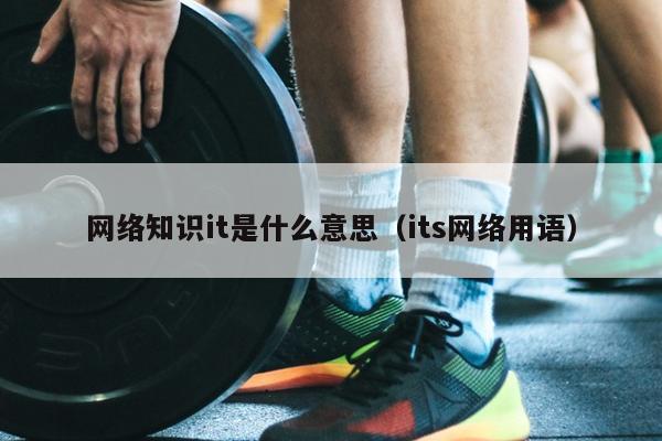 网络知识it是什么意思（its网络用语）