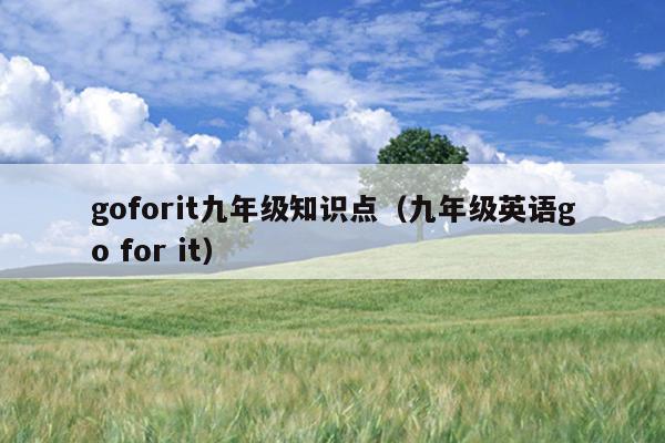 goforit九年级知识点（九年级英语go for it）