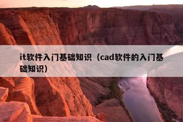 it软件入门基础知识（cad软件的入门基础知识）