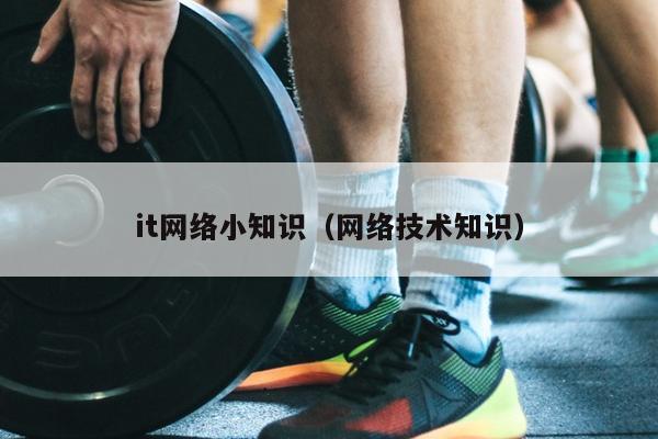 it网络小知识（网络技术知识）