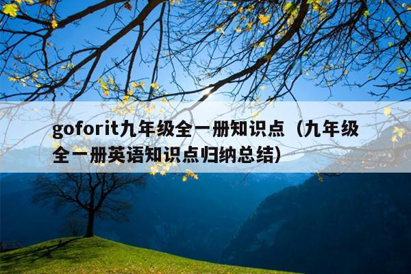 goforit九年级全一册知识点（九年级全一册英语知识点归纳总结）