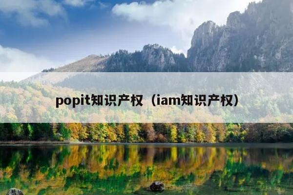 popit知识产权（iam知识产权）