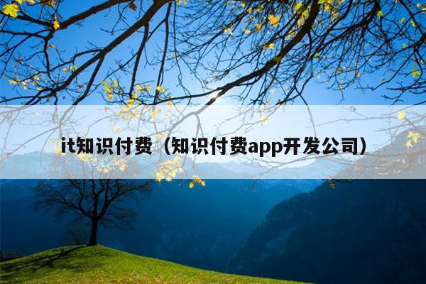 it知识付费（知识付费app开发公司）