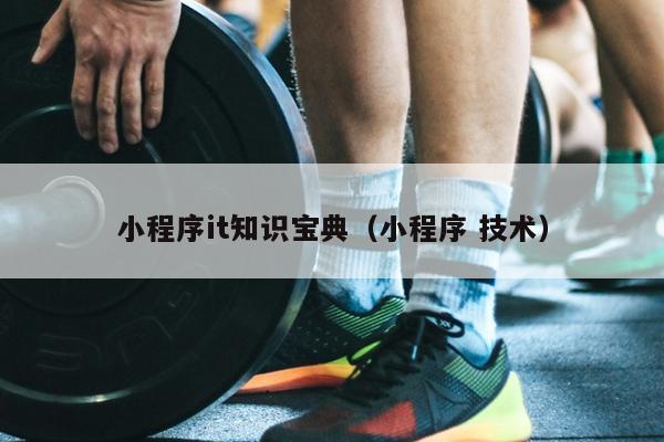 小程序it知识宝典（小程序 技术）