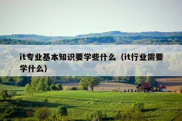 it专业基本知识要学些什么（it行业需要学什么）