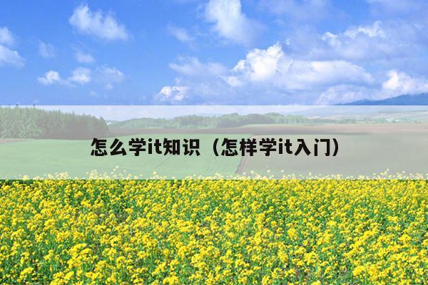 怎么学it知识（怎样学it入门）