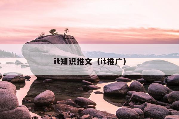 it知识推文（it推广）