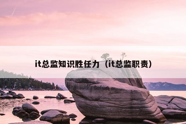 it总监知识胜任力（it总监职责）