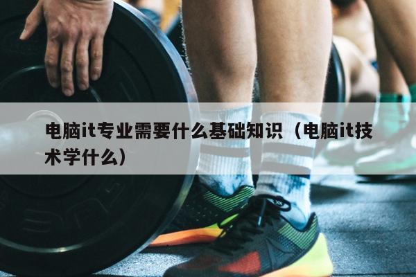 电脑it专业需要什么基础知识（电脑it技术学什么）