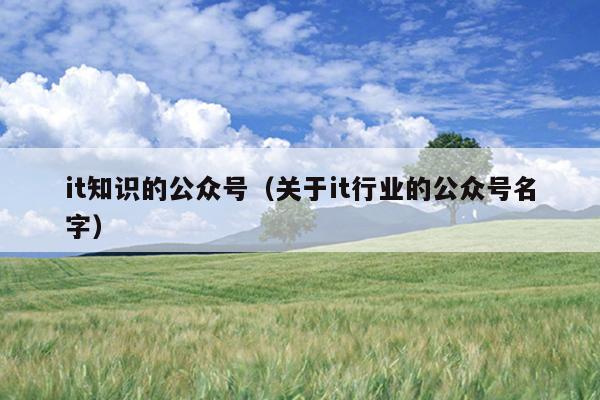 it知识的公众号（关于it行业的公众号名字）