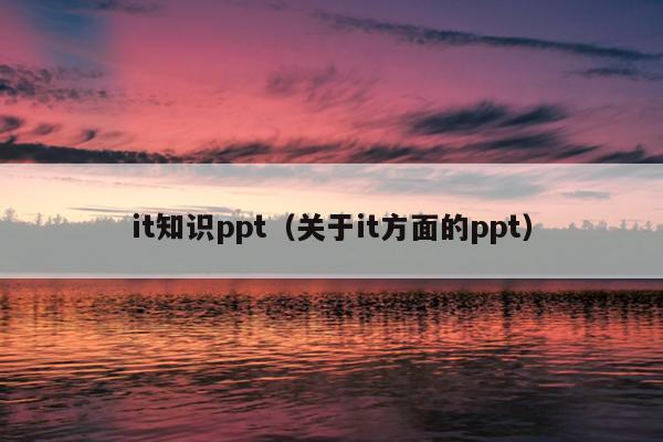 it知识ppt（关于it方面的ppt）