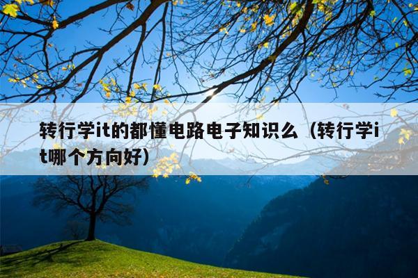 转行学it的都懂电路电子知识么（转行学it哪个方向好）