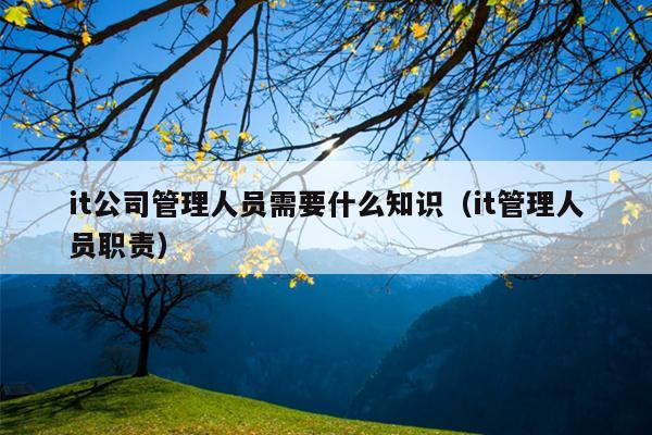 it公司管理人员需要什么知识（it管理人员职责）