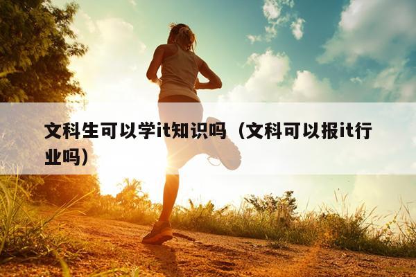 文科生可以学it知识吗（文科可以报it行业吗）