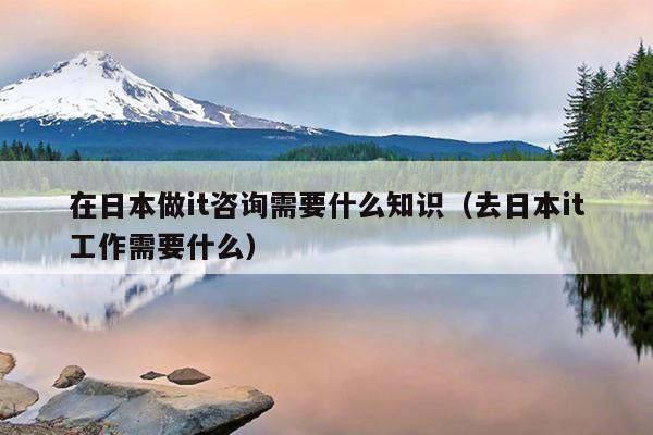 在日本做it咨询需要什么知识（去日本it工作需要什么）