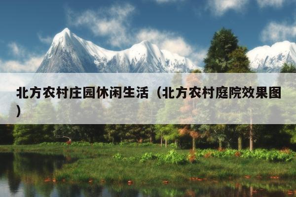 北方农村庄园休闲生活（北方农村庭院效果图）