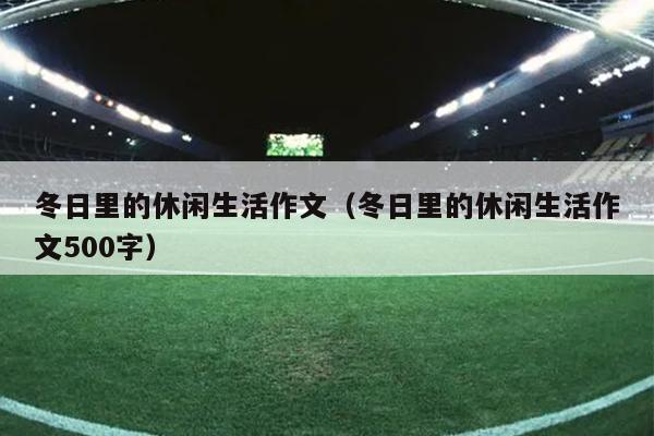 冬日里的休闲生活作文（冬日里的休闲生活作文500字）